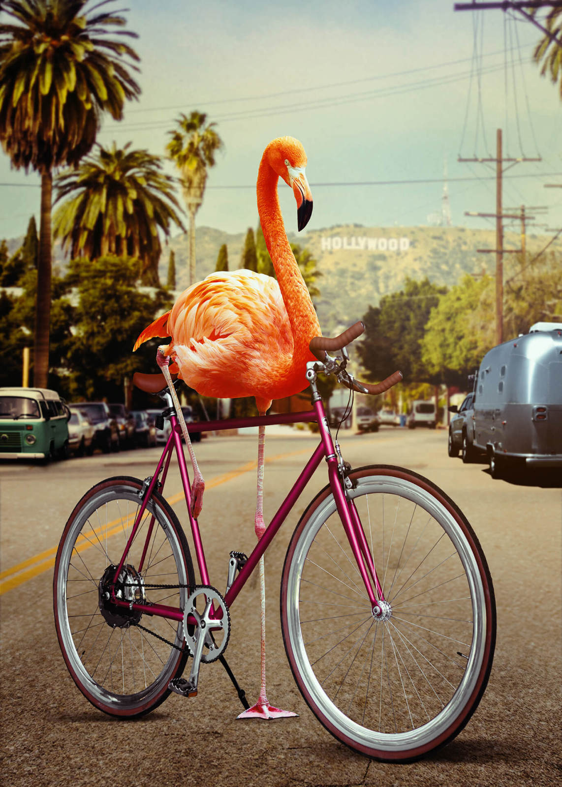 Leinwandbild FLAMINGO - pink - 50x70 cm