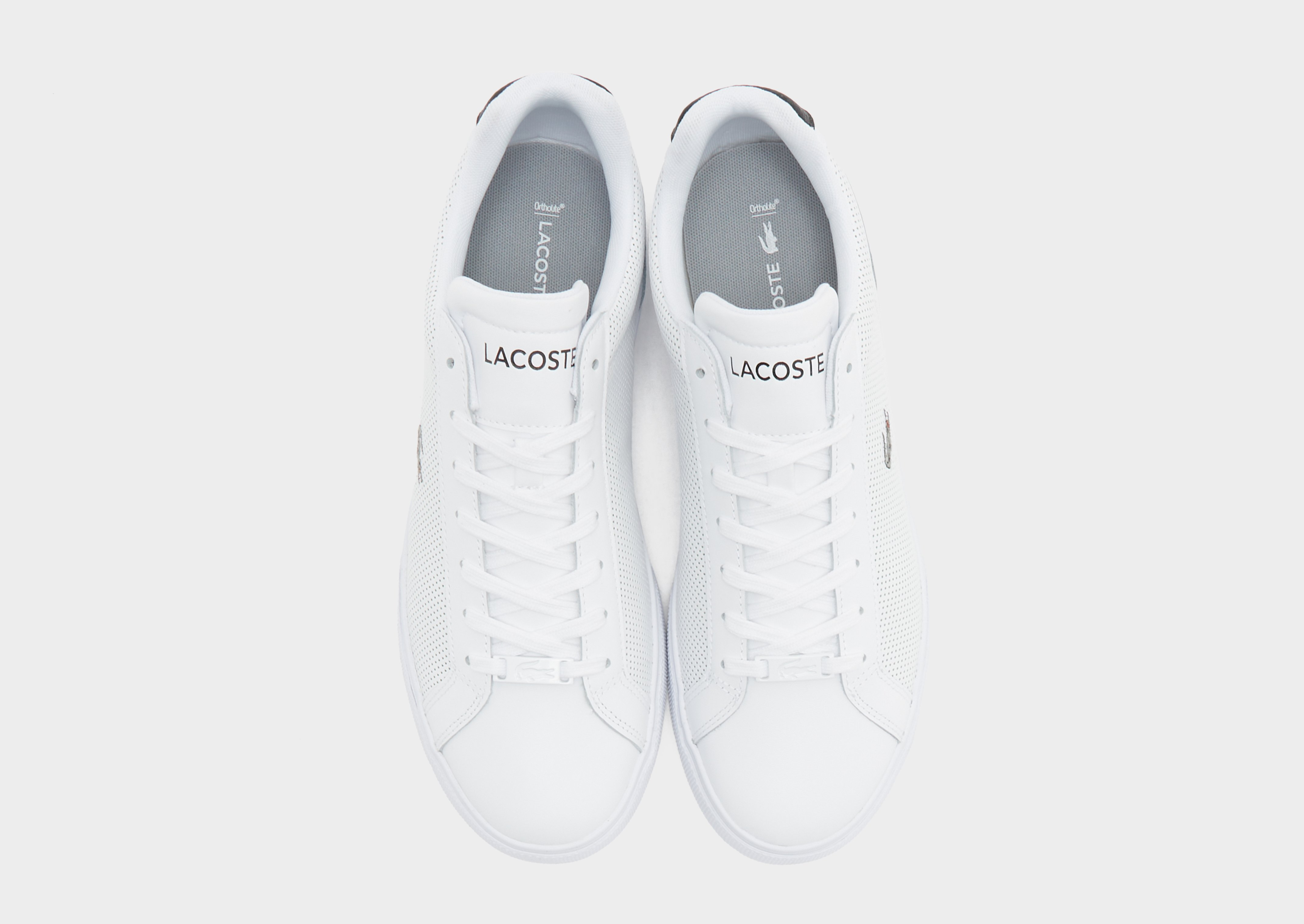 Lacoste Lerond Homme