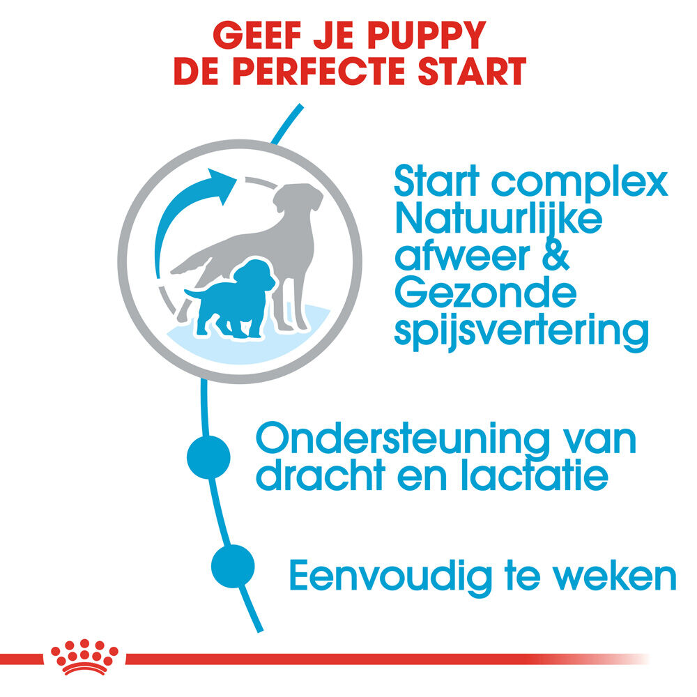 Royal Canin Medium Starter Mother and Babydog - Hondenvoer - 4 Kilogram - gevogelte