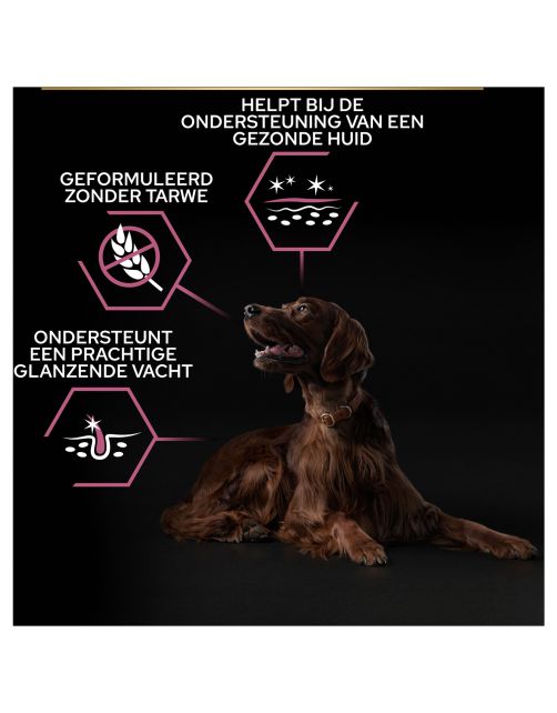 Pro Plan Dog Adult Large Sensitive Skin - Hondenvoer - Zalm 14 kg