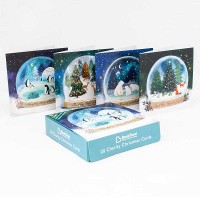 Snowglobes Charity Box X20