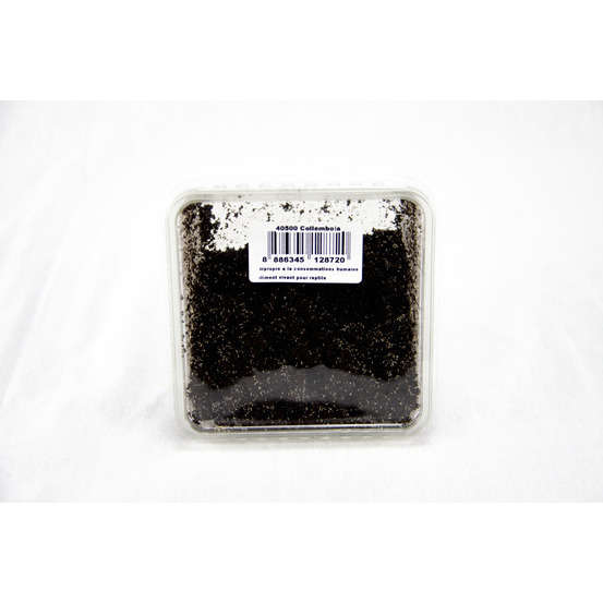Boites de 1000 collemboles environ pour alimentation dendrobates