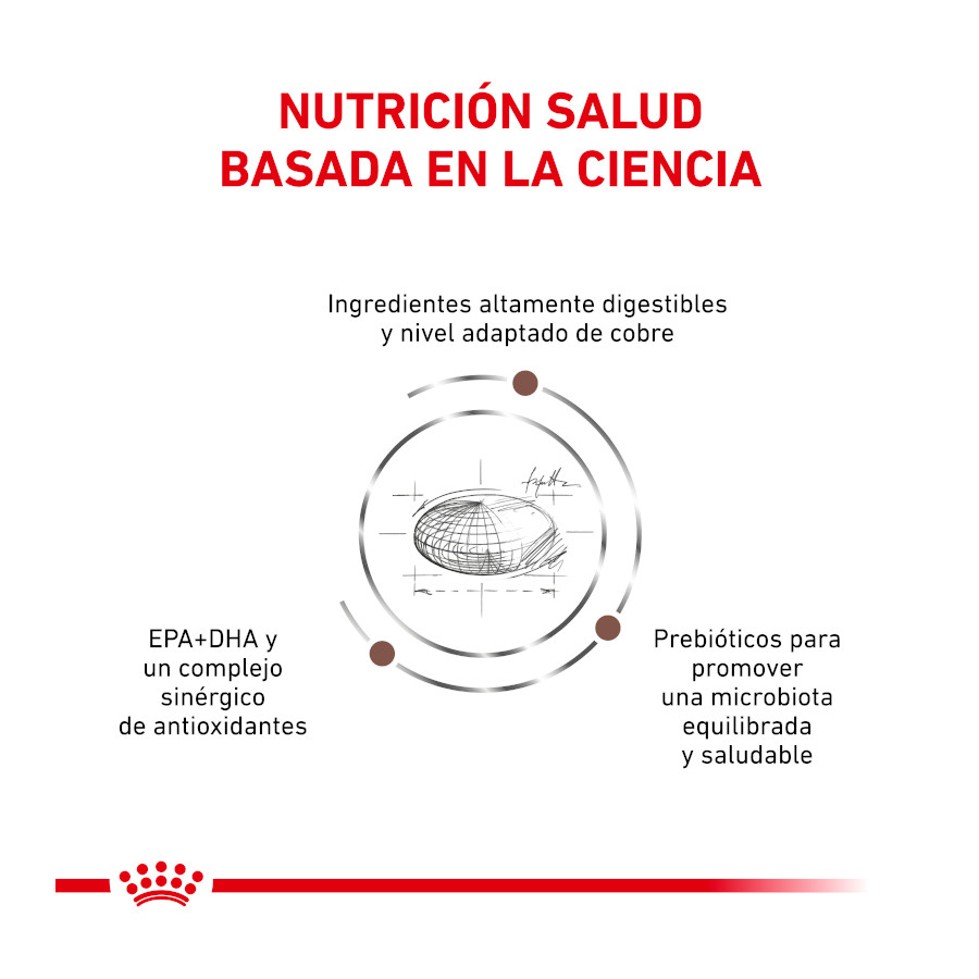 Ração Royal Canin Veterinary Hepatic para gatos