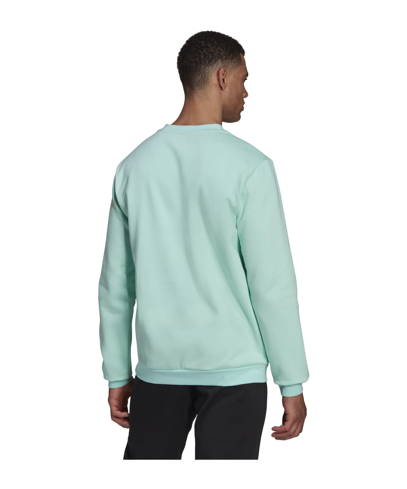 adidas Entrada 22 Sweatshirt Türkis