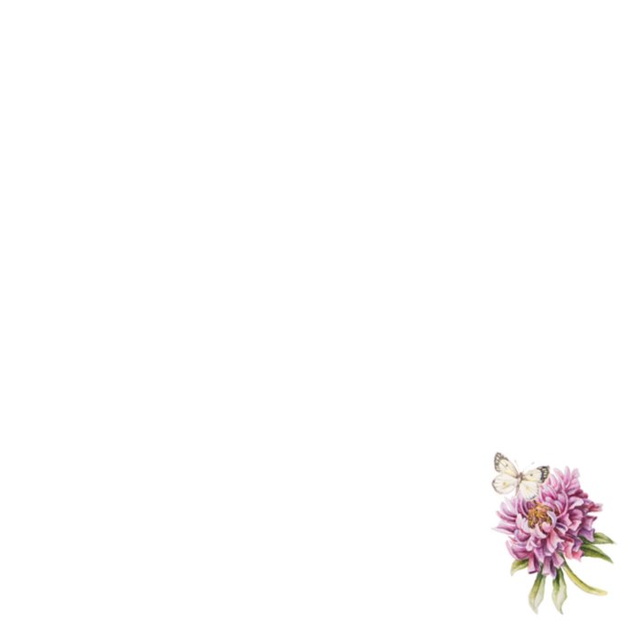 Janneke Brinkman | Moederdagkaart | Bloemen