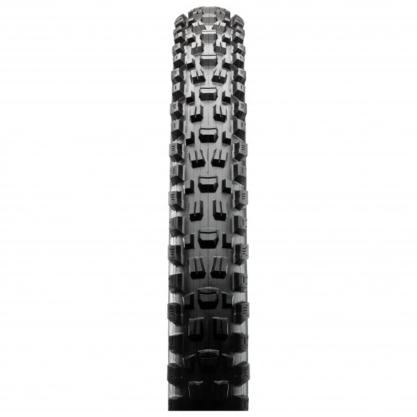 Maxxis - Assegai 29'' (63-622) WT 3C MaxxTerra EXO+ TR - Pneu de vélo