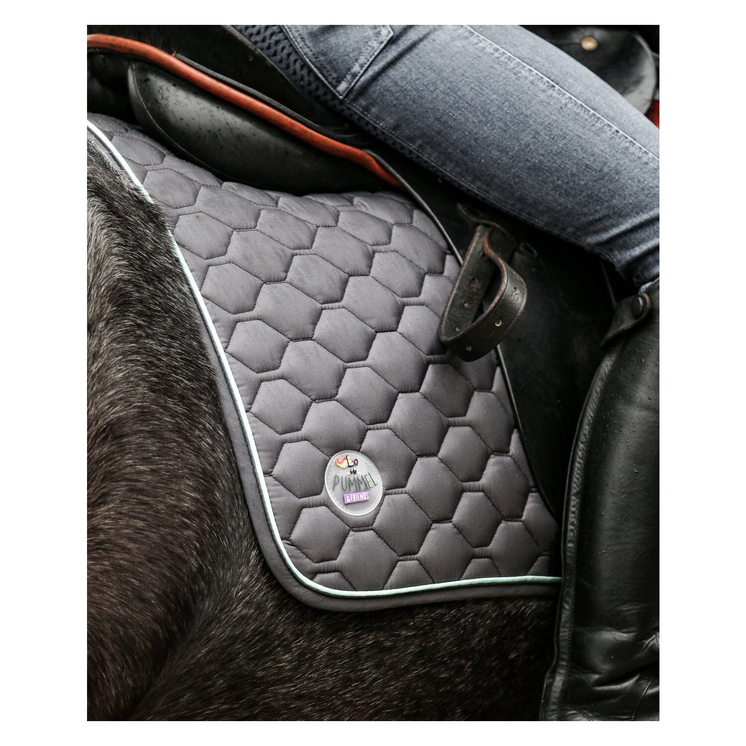 EQUEST Pummel Pets Friends Schabracke Macro Argon - anthracite