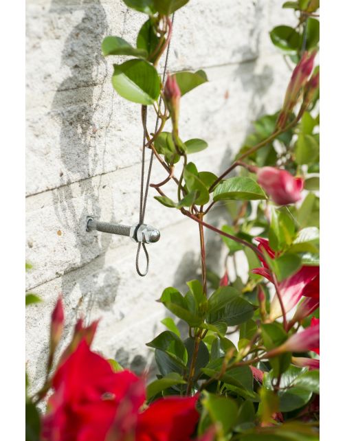 Nature Draadset Voor Klimplanten - Klim-En Geleide Artikel - 10 m Metaal Ø 1.8 Mm