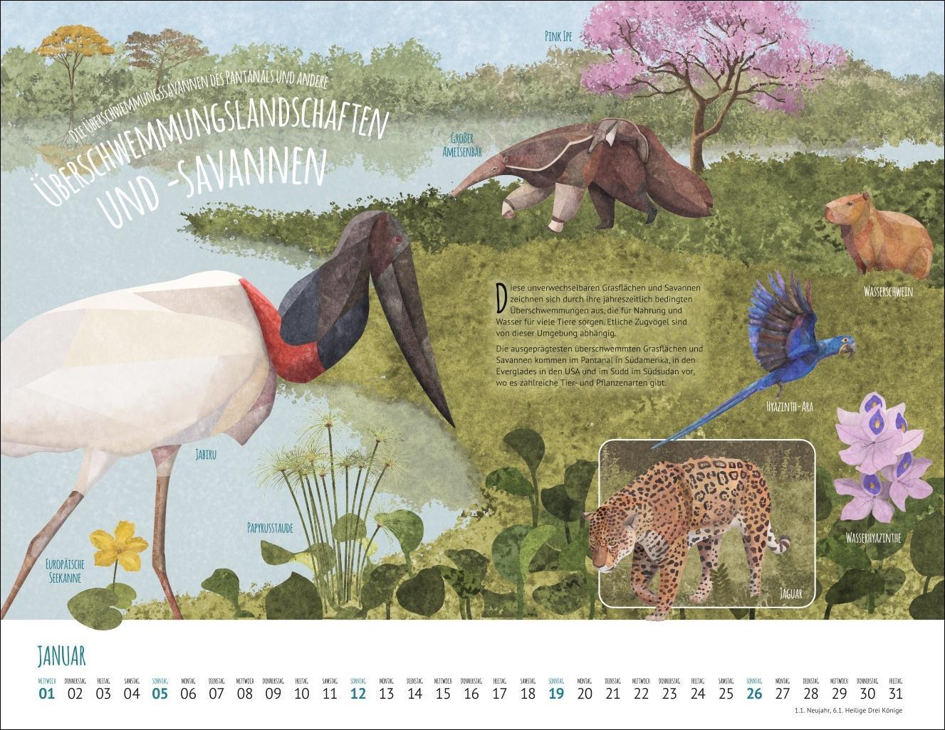 Wo Tiere und Pflanzen zu Hause sind Kalender 2025 - Biome der Welt