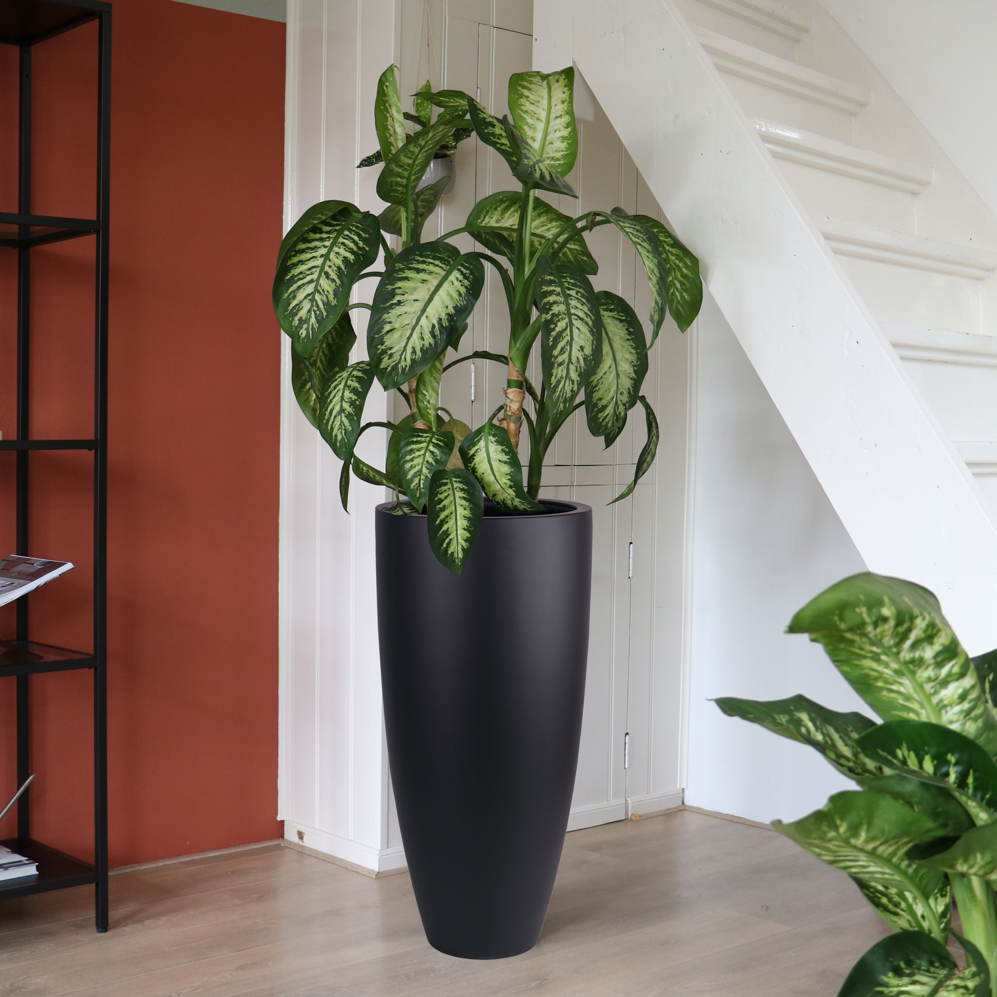 Plantenpot Kentucky black Ø36,5 x H80 cm *Verwacht mid Feb