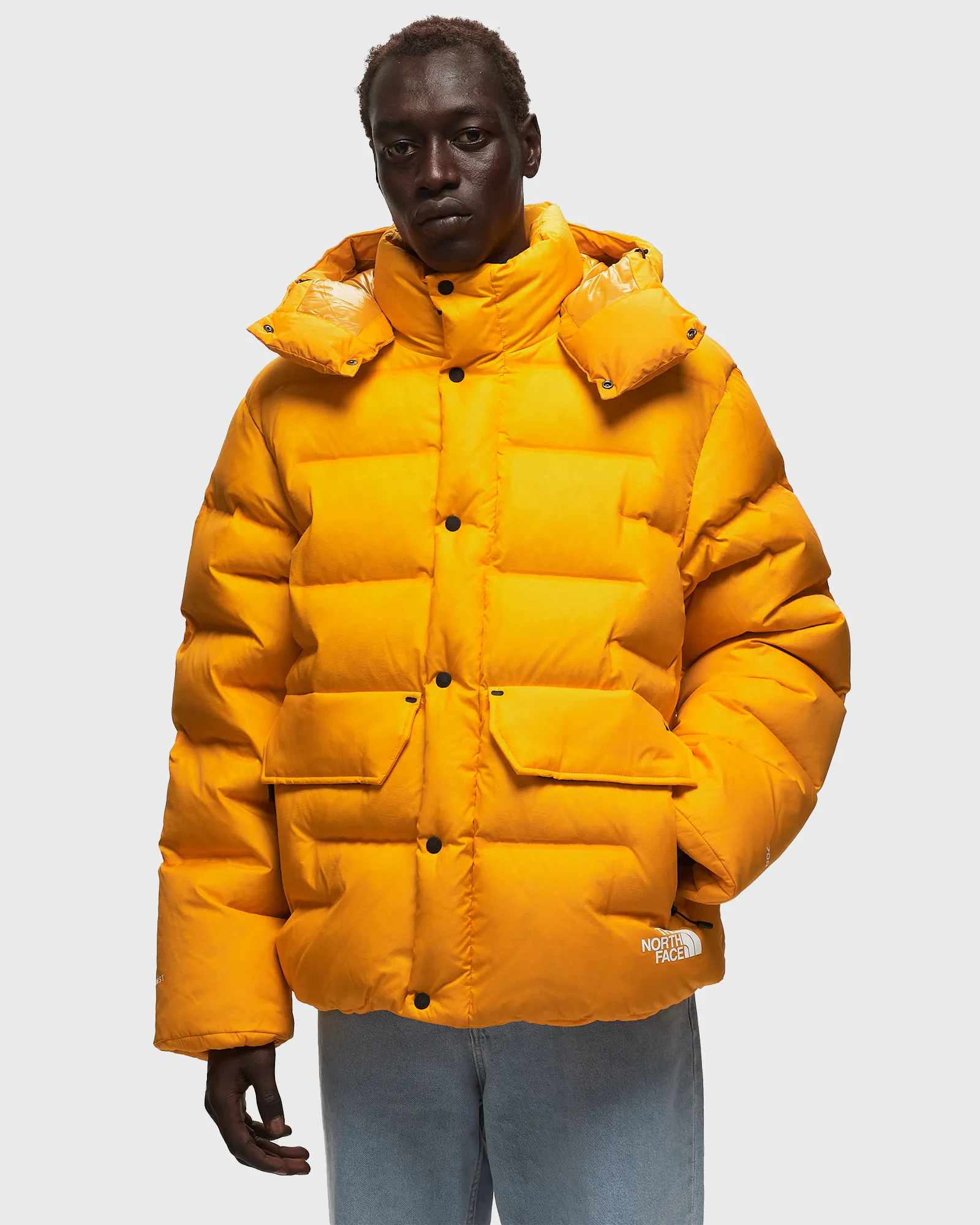 The North Face Rmst Sierra Parka