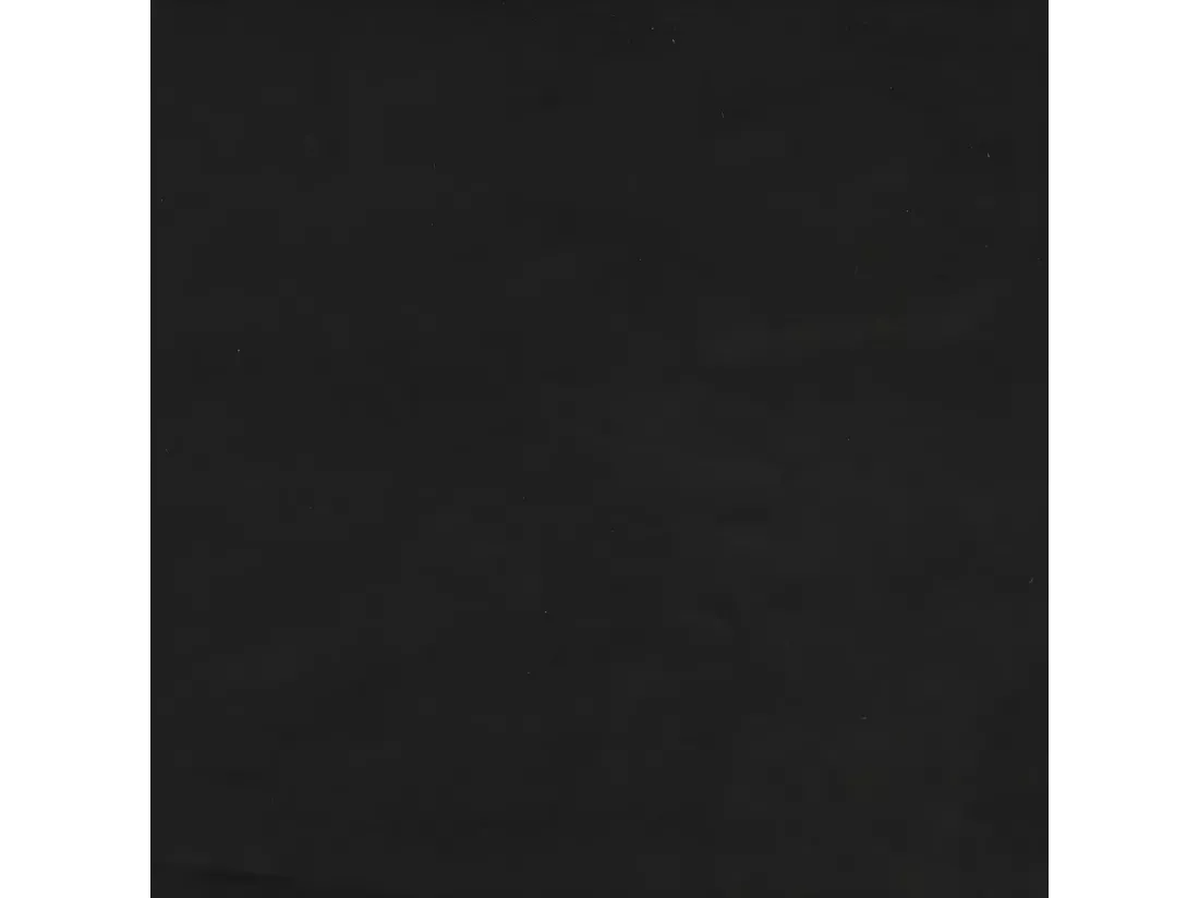 Lit de jour avec lit gigogne noir 100x200 cm velours