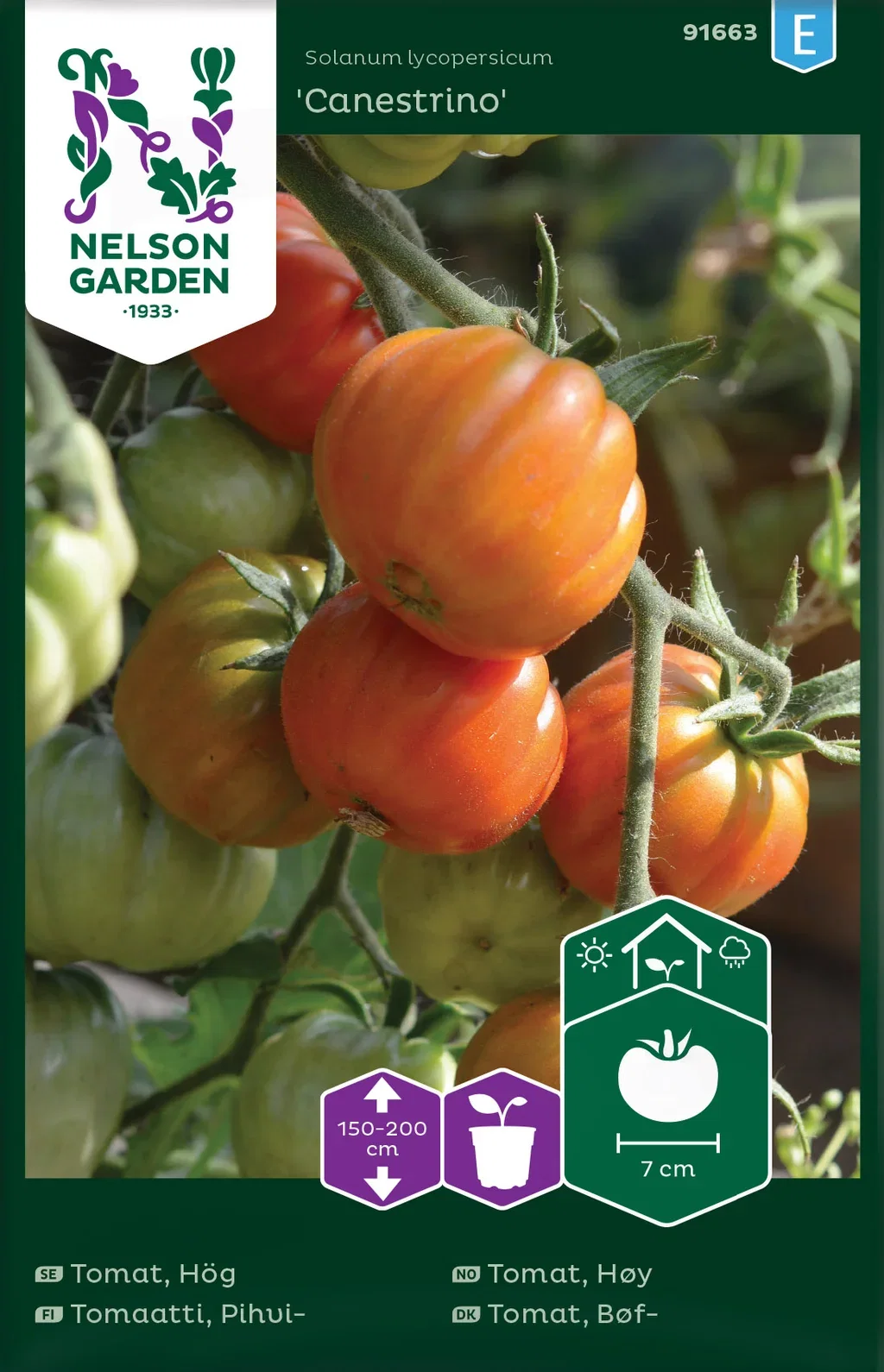 Solanum lycopersicum 'Canestrino' Høytomat 'Canestrino'
