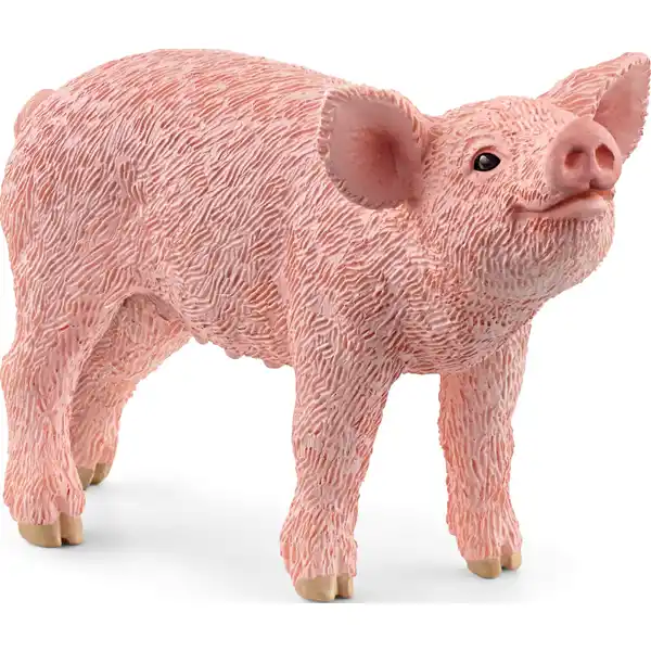 13934 Ferkel