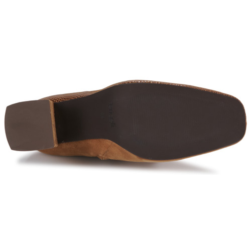 Fericelli - HERCULE - Camel