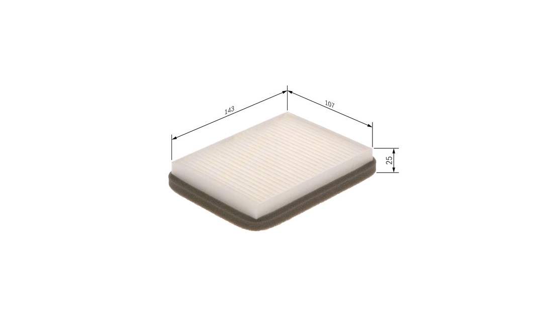 Pollenfilter, Pollenfilter