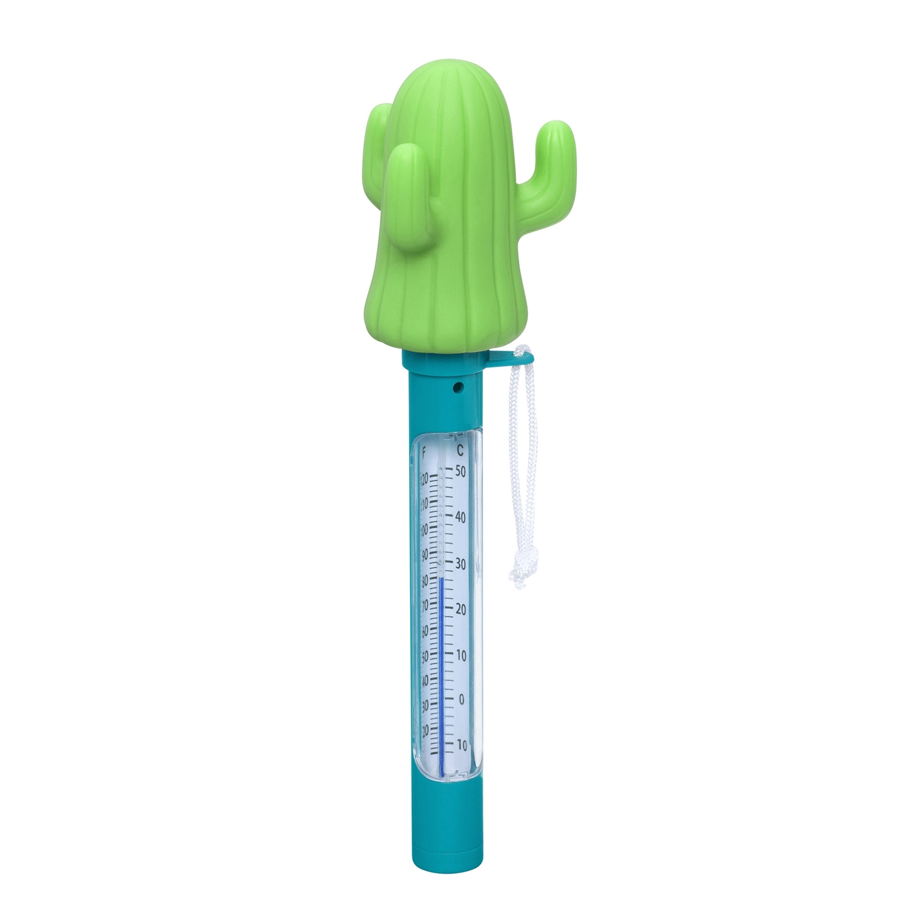 Pool Thermometer Kaktus