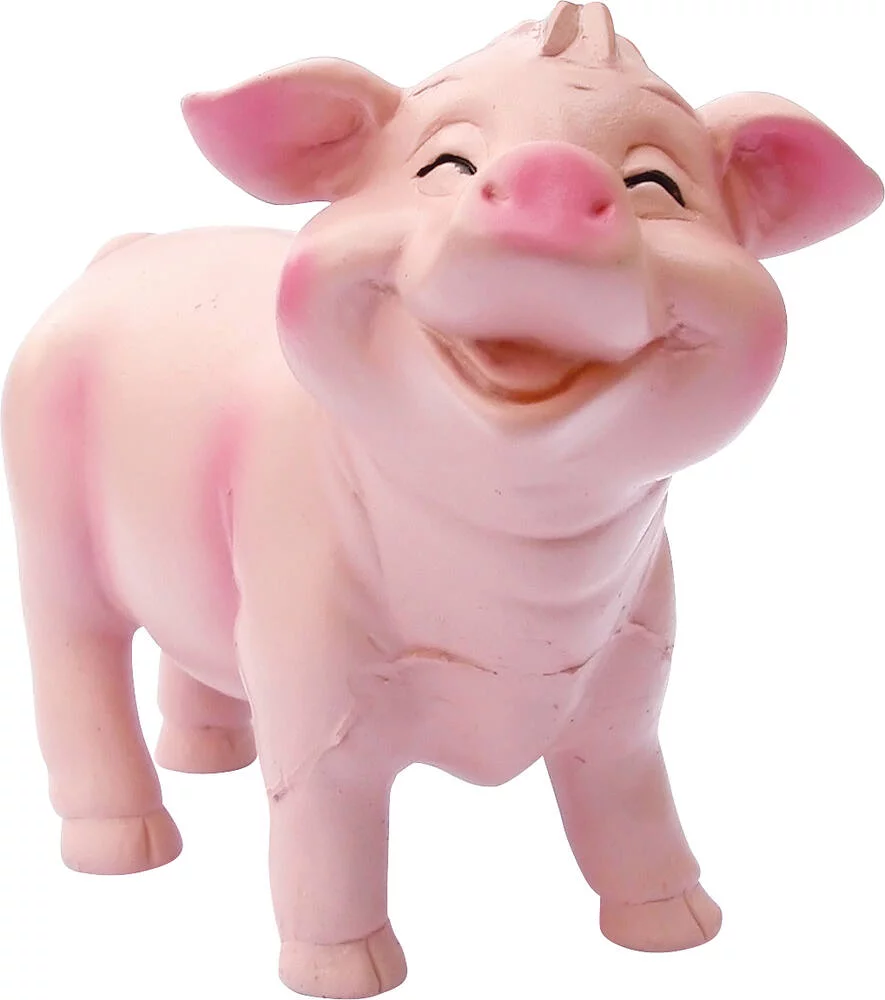 BEBES ANIMAUX DE LA FERME