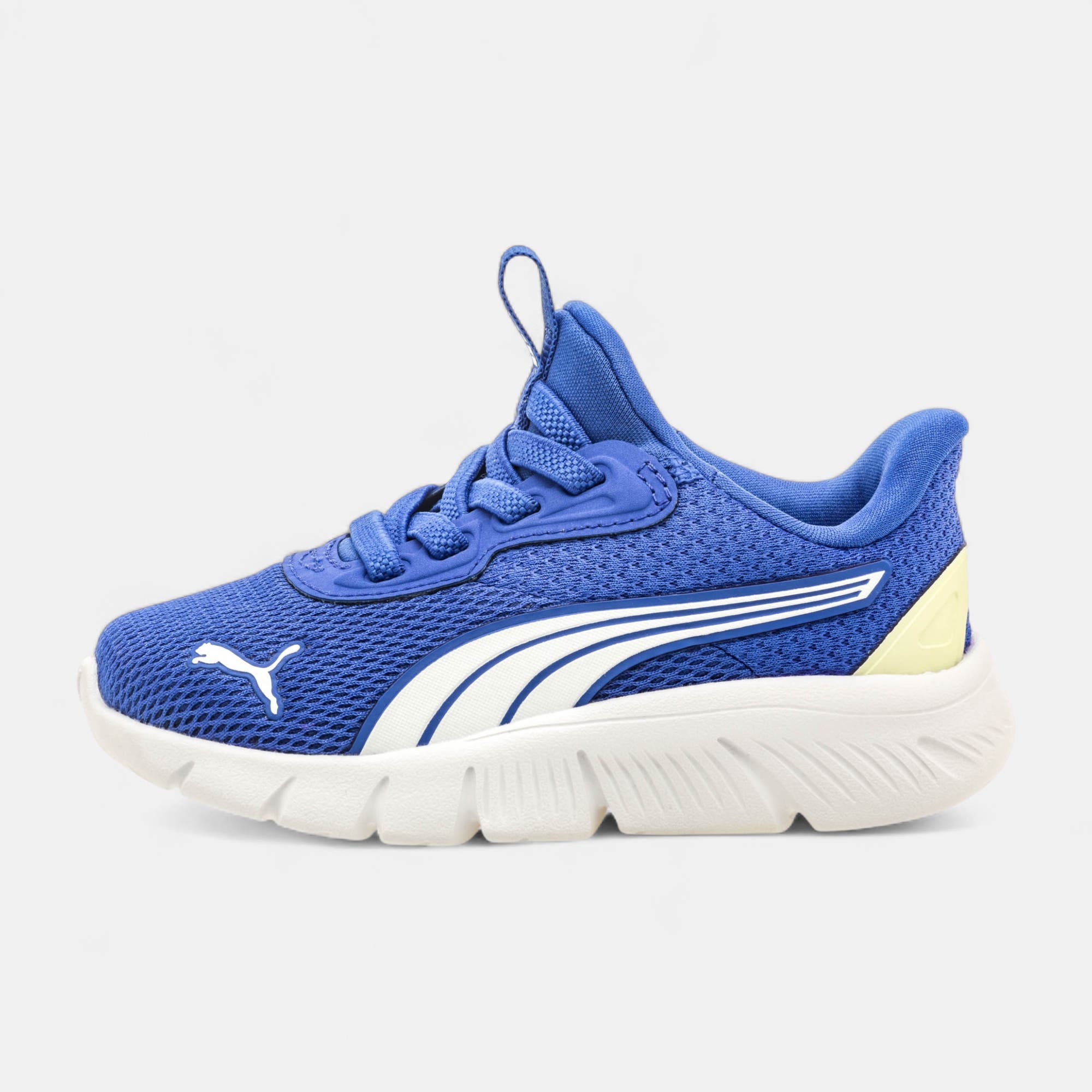 Sneakers Garçon bleu