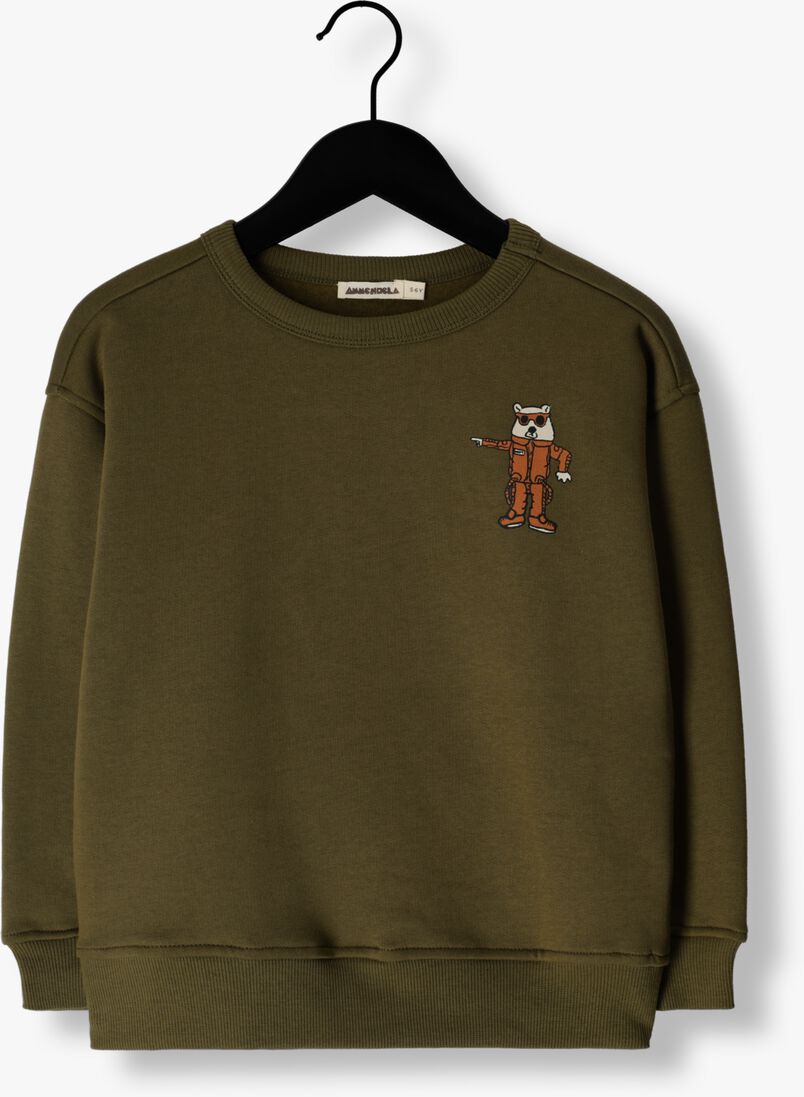 AMMEHOELA groene ammehoela sweater am.rocky.55