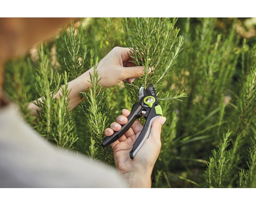 Tuinschaar, rozenschaar voor_q, bypass