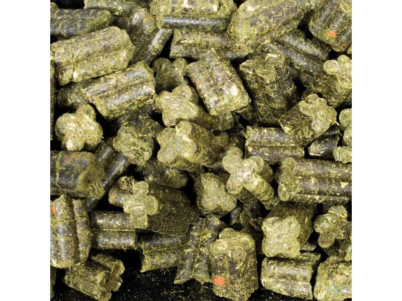 JR Farm Hauptfutter Complete Meerschweinchen Grainless, 135 Alleinfuttermittel für Meerschweinchen