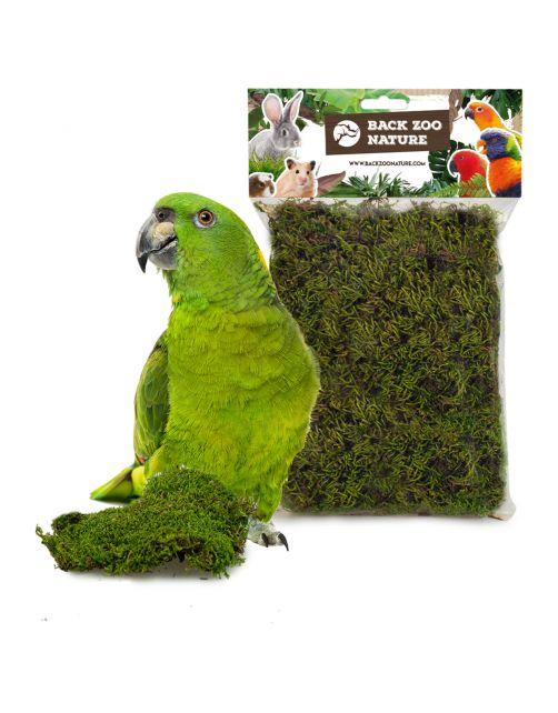 Back Zoo Nature Forest Moss - Natuurlijk Speelgoed - ca. 70 g