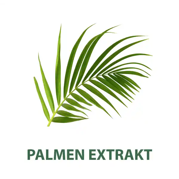 Rasierschaum Classic