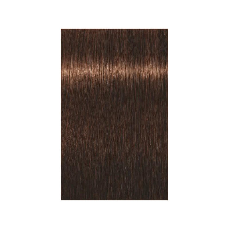 Coloration Igora Royal Schwarzkopf 60ML ( Par numéro )