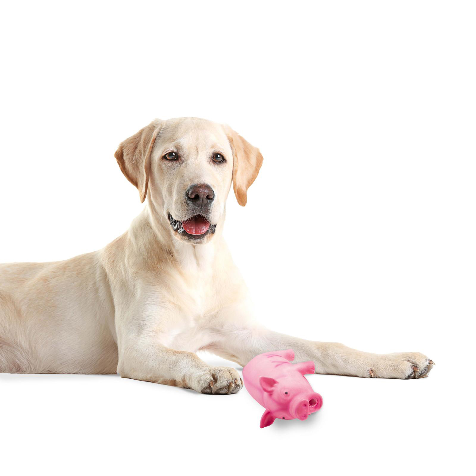 Hundespielzeug Gummischwein 20 cm