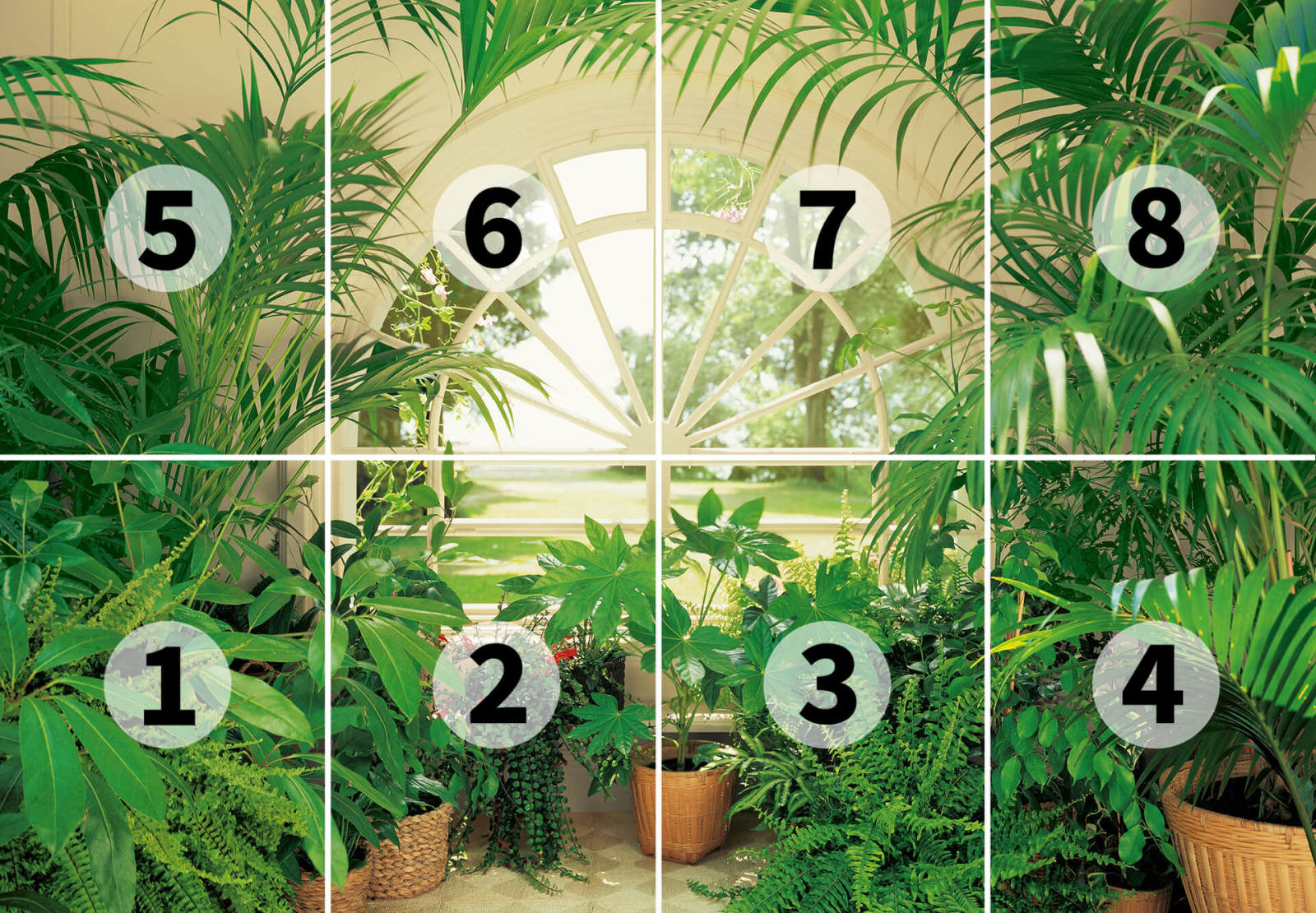 Fototapete DESIGNWALLS 2.0 - grün-weiß - Fensterblick - 2,5 Meter