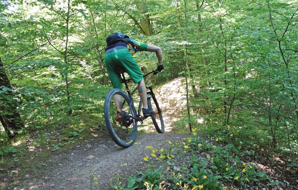 Mountainbike Kurs Brackenheim-Dürrenzimmern