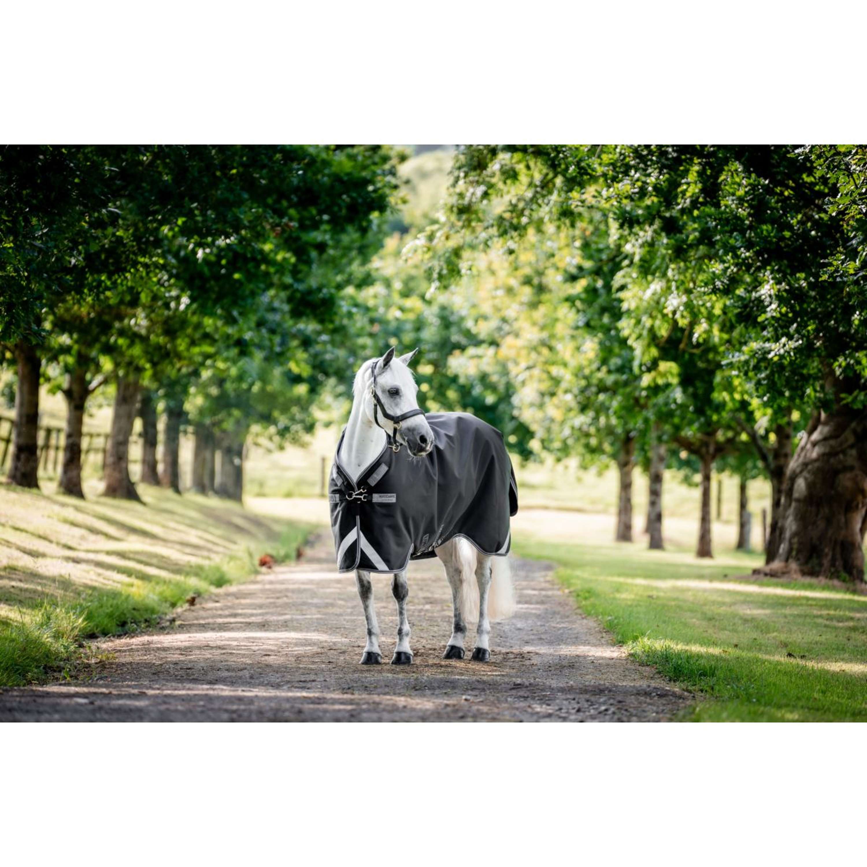 Rambo Turnout Rug 1680D Varilayer 450g Black/Thunderstorm Grey/Silver