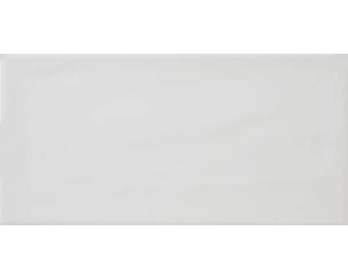 Steengoed Metrotegel Loft wit 10x20x0,7 cm glanzend