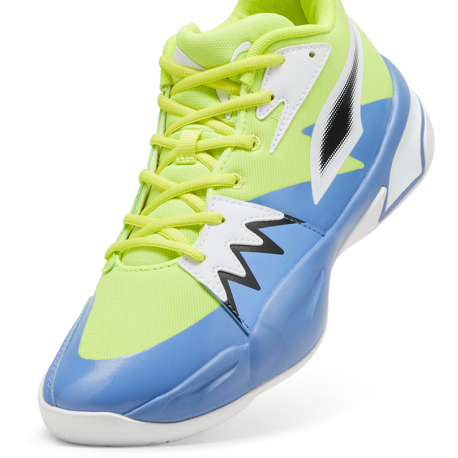 Puma Genetics