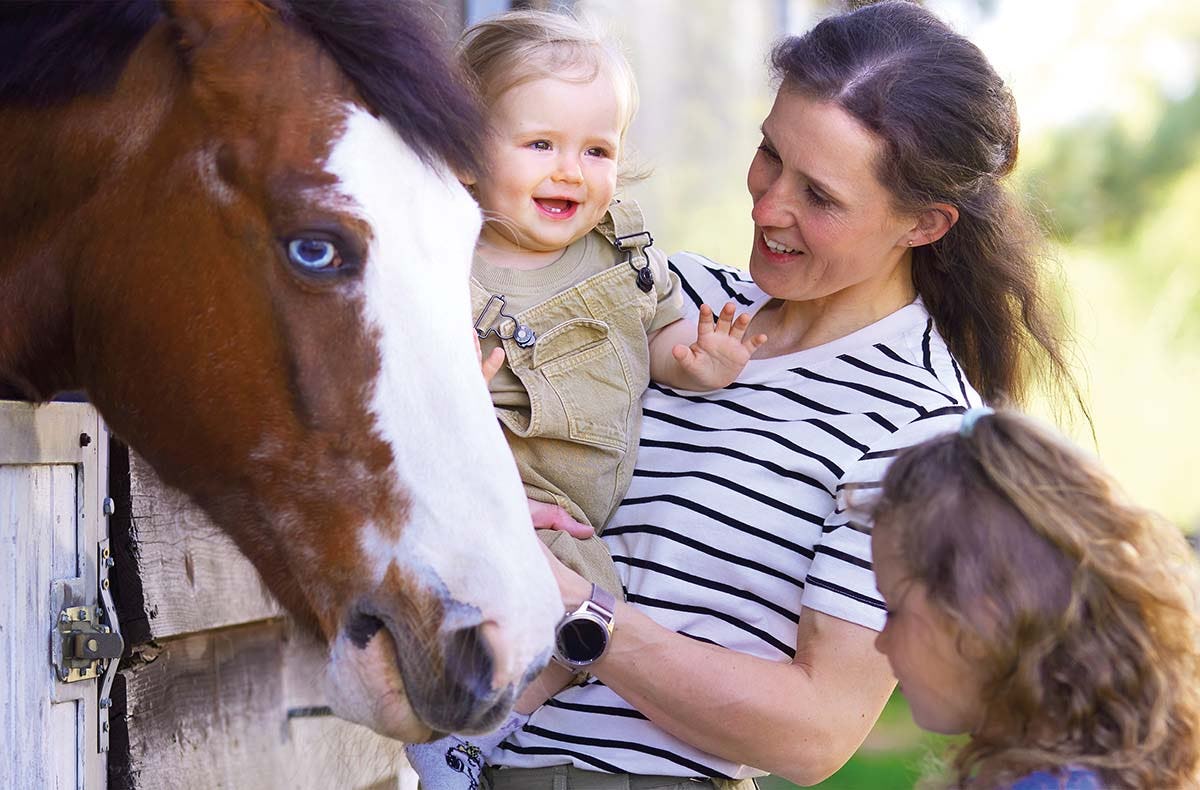 Familienurlaub Mecklenburg (2 Nächte)