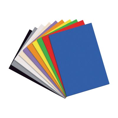 Apli - 10 feuilles mousse - coloris assortis