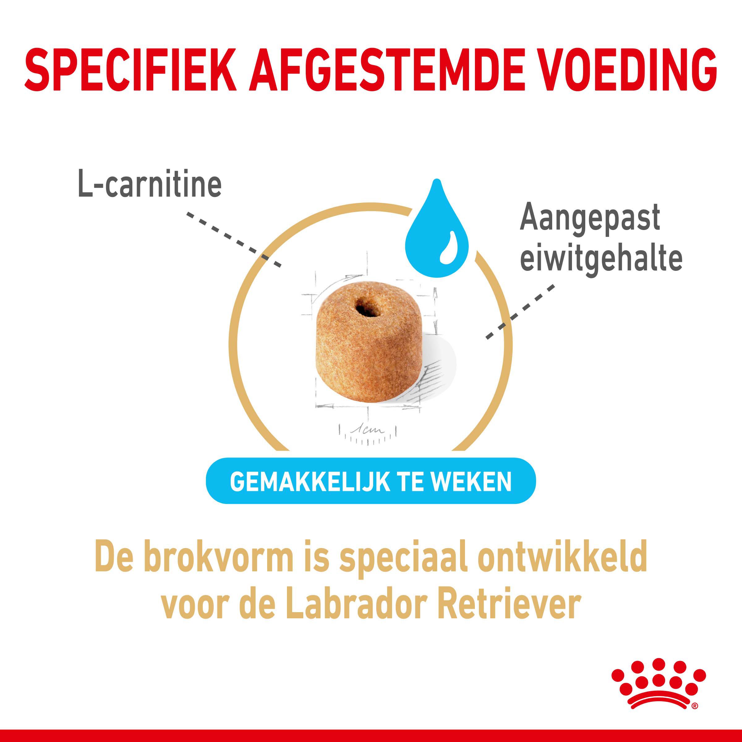 ROYAL CANIN® Adult 5  Labrador Retriever  - Hondenvoer - 12 Kilogram - gevogelte