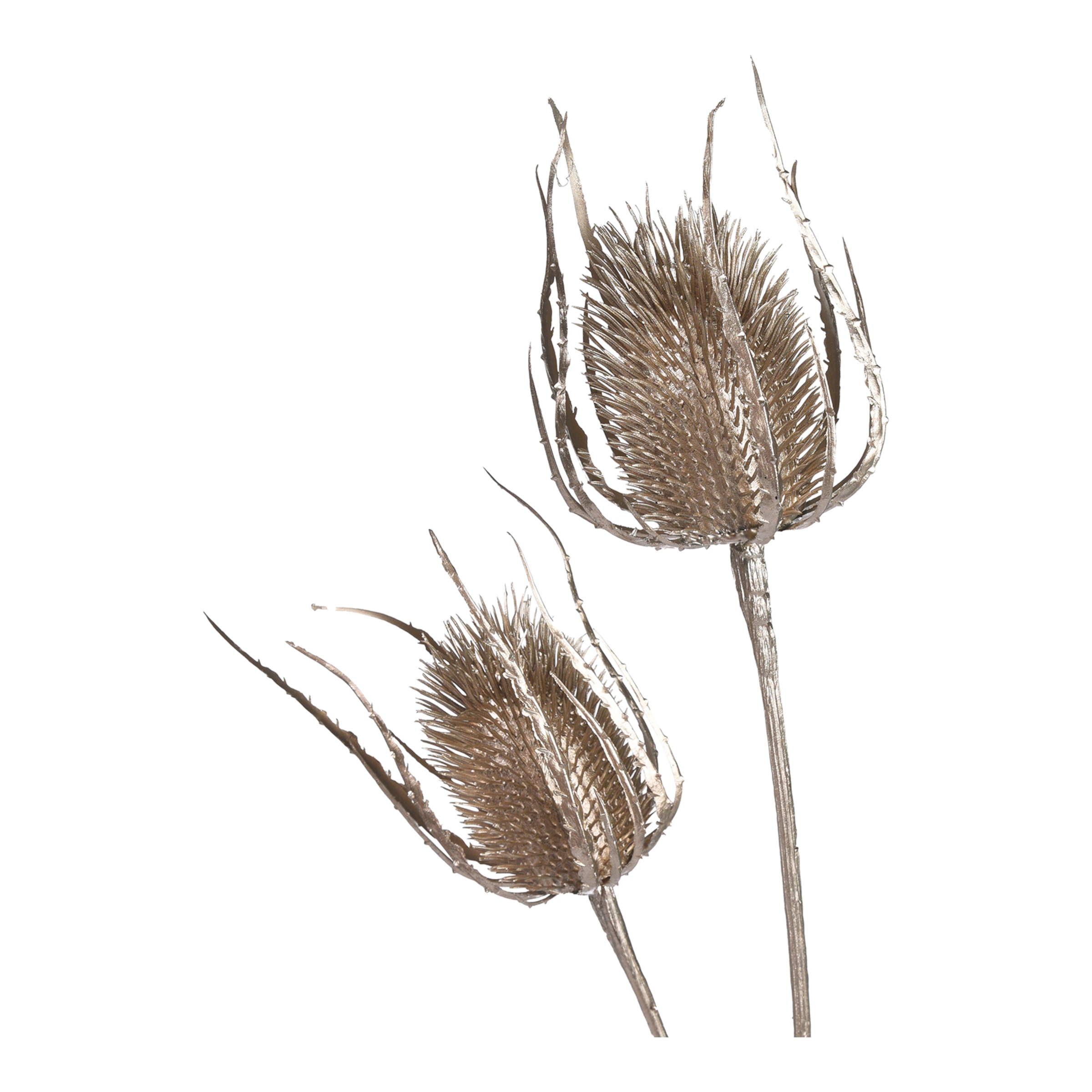 gold, L 81 cm