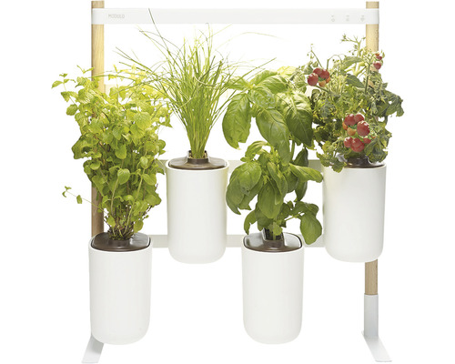 Binnentuin smart Prêt à Pousser Modulo 2 kunststof wit incl. 4 potten en 4 capsules