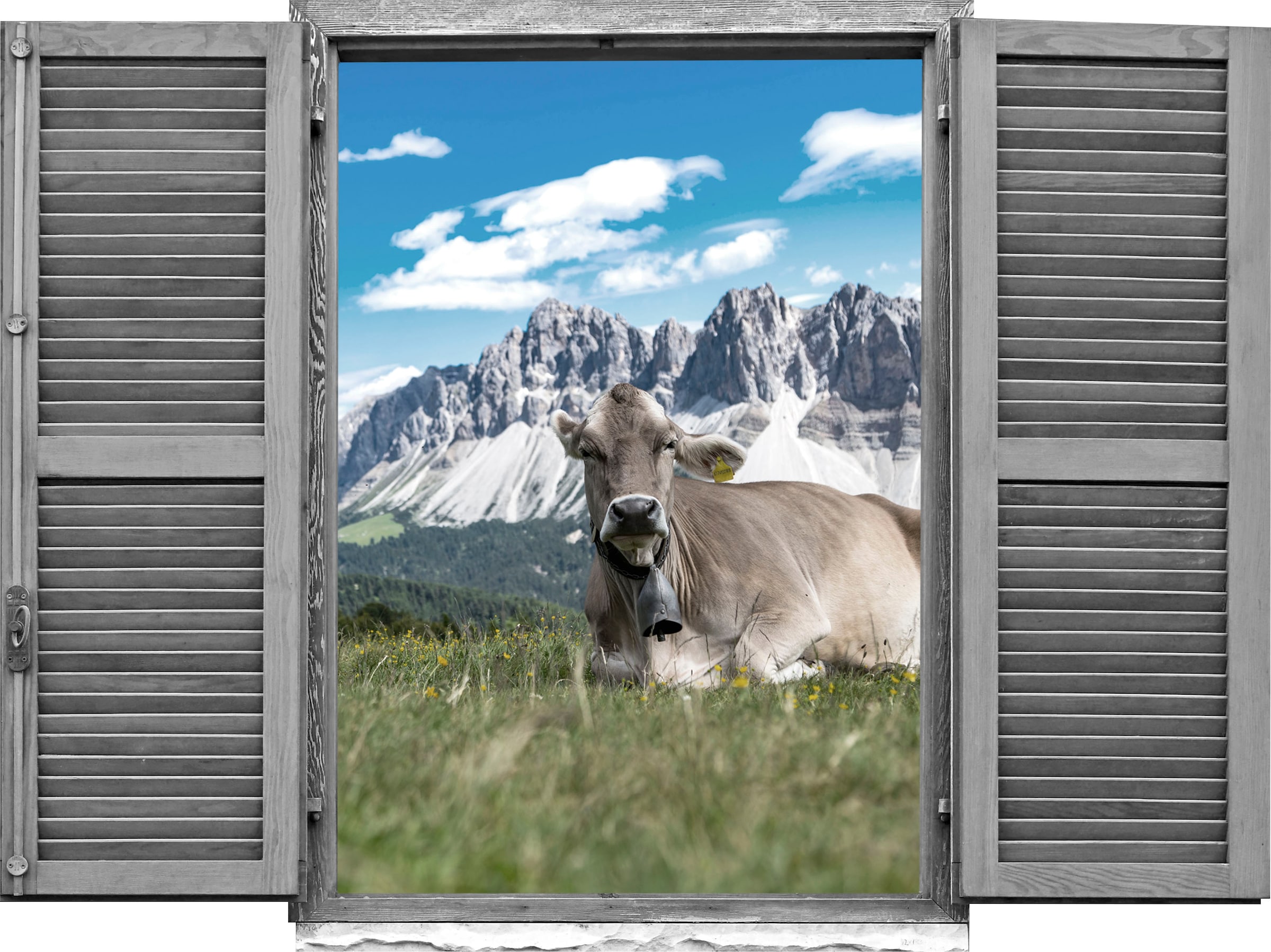 queence Wandtattoo »Kühe« Wandsticker, Wandbild, selbstklebend, 3D, Fenster