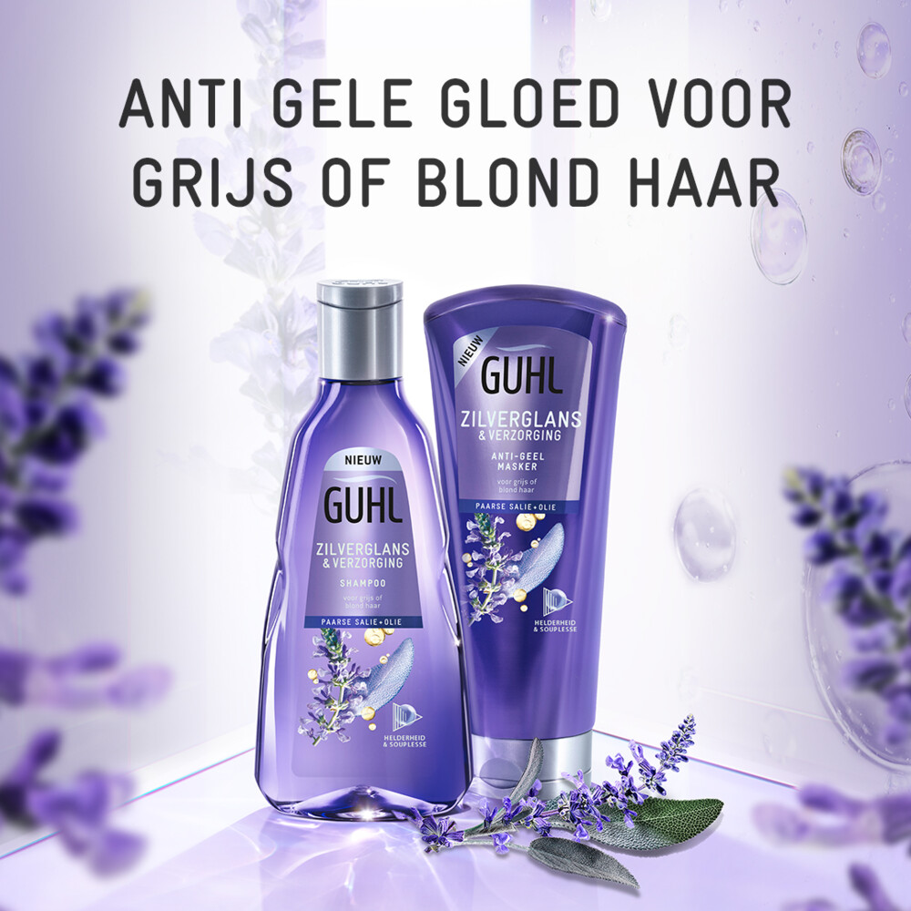 Guhl Zilverglans - Shampoo 1x 250 ml & Haarmasker 1x 200 ml - Pakket