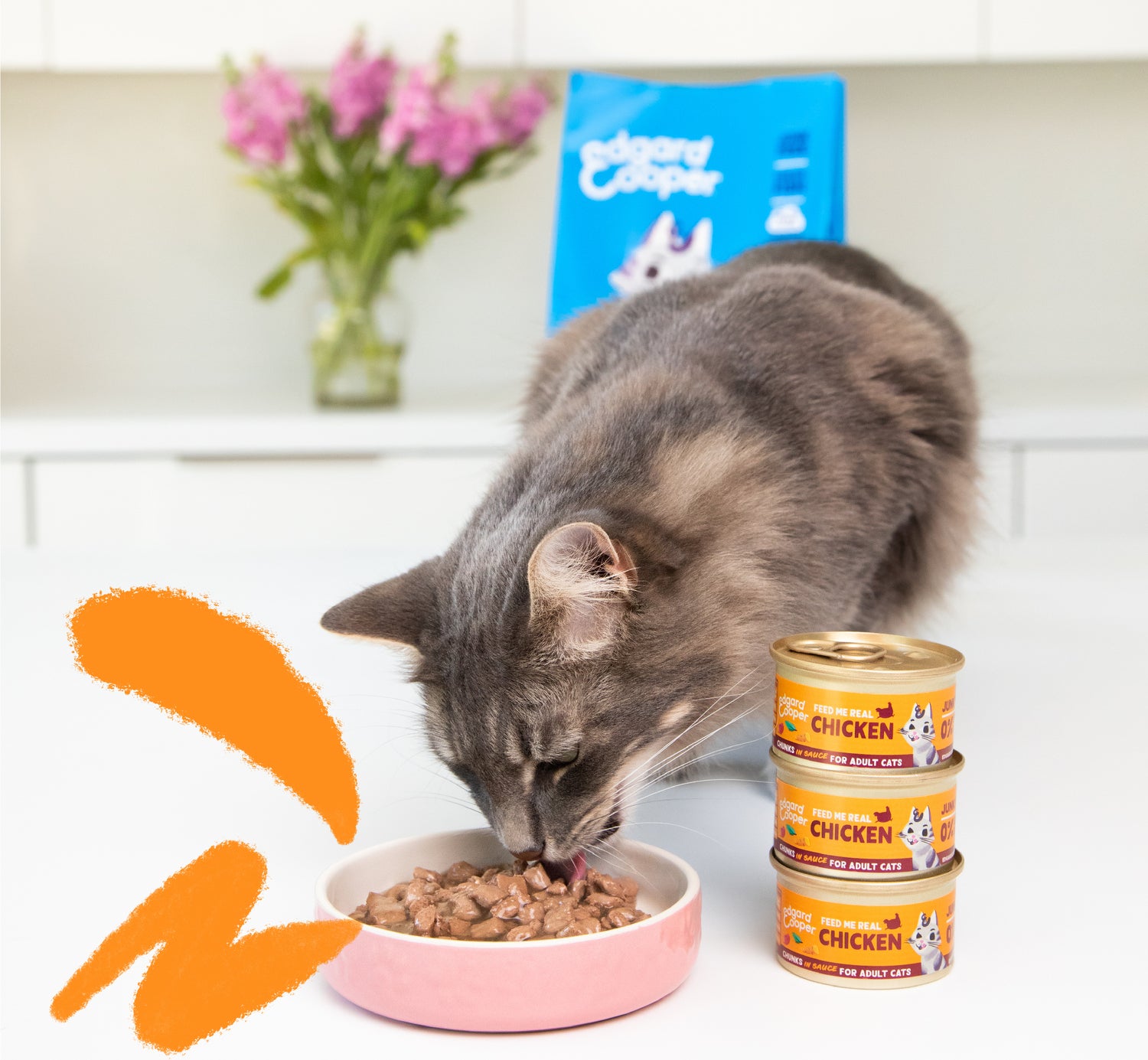 Edgard & Cooper kattenvoer chuncks in saus kip adult 85 g