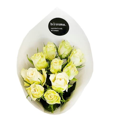 bluums. Rosen weiß