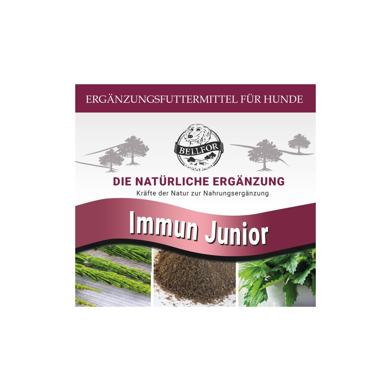 Bellfor Hochwertige Immun Pulver Junior für Welpen - 50g
