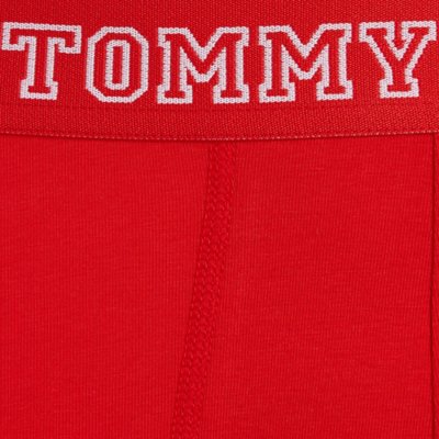 Boxer homme Pack de 3 TOMMY HILFIGER