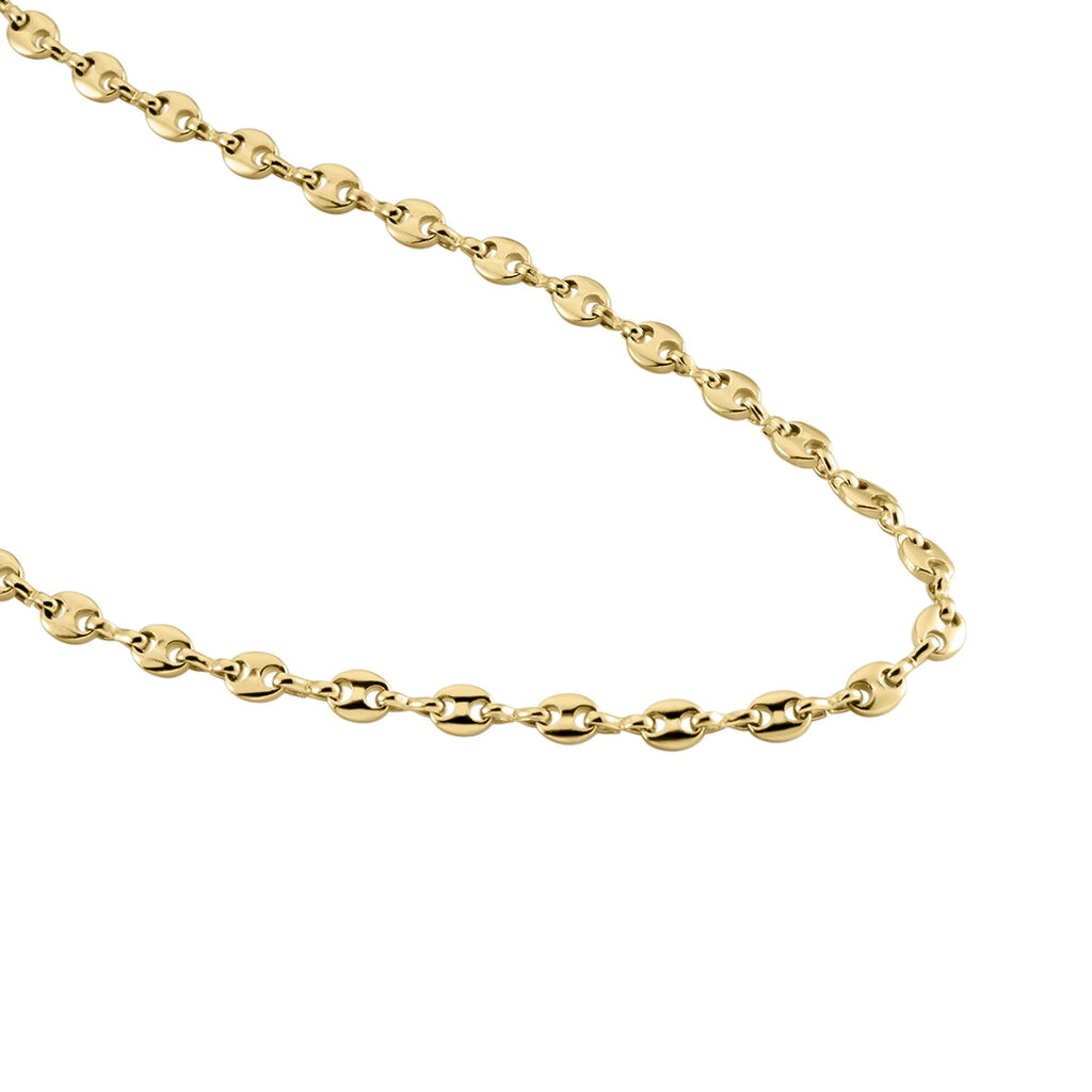 Collier Plaqué Or Jaune William