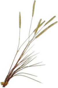 Silk-Ka kunsttak Siergras groen 101 cm