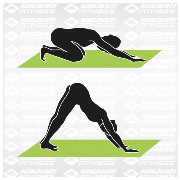 Schildkröt Fitness - Yoga Mat 4mm Bicolor