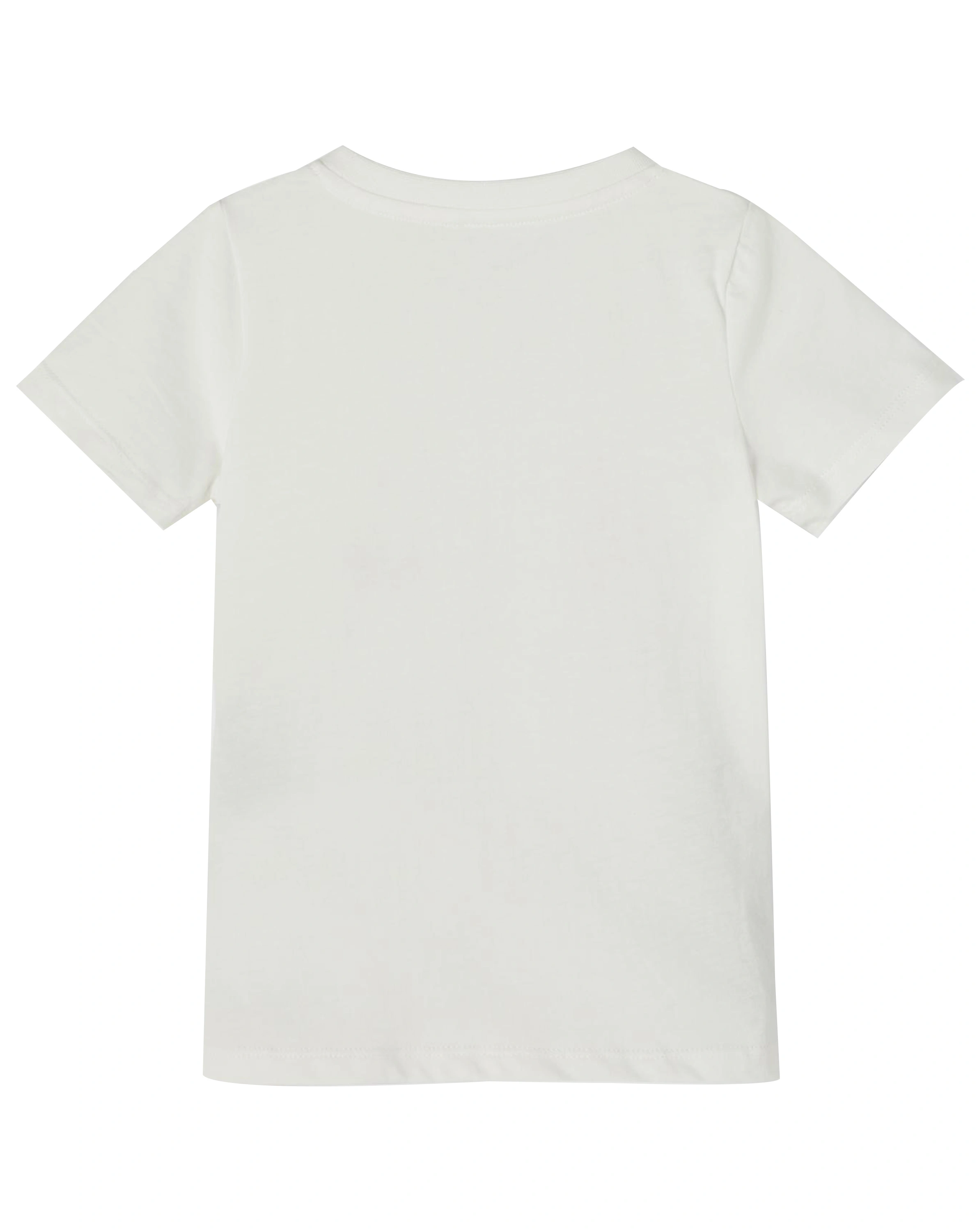 T-Shirt NMFDELTA BACKYARD in white alyssum